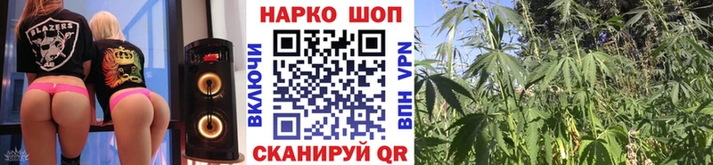 Продажа наркотиков Котовск Гашиш  Псилоцибиновые грибы  Мефедрон  СК  Канабис  Кокаин 