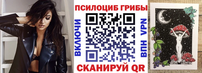 дарнет шоп даркнет телеграм Псилоцибиновые грибы ЛСД Котовск